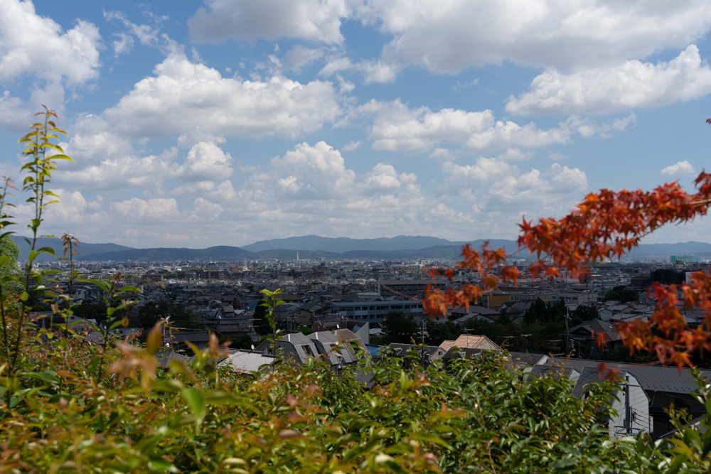 鈴虫寺　展望